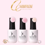 Champagne Collection
